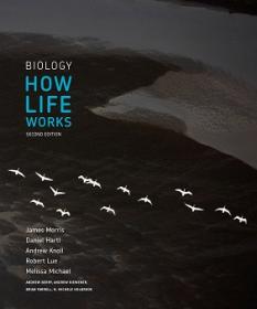 Morris - Biology_ How Life Works 2nd Edition c2016 txtbk PDF.7z