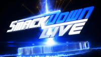 WWE Smackdown Live 01 17 17 HDTV x264-XWT