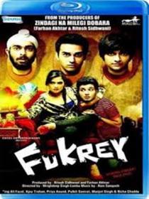 FUKREY 2013 MOVIE