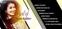 Best of Neha Kakkar, All New Hindi Songs  2016 (Video Jukebox) Full HD 720p