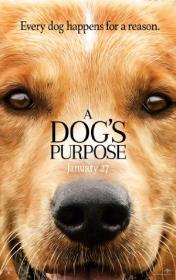 A Dogs Purpose 2017 HDRip XviD AC3-iFT[SN]