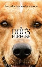 A Dogs Purpose 2017 1080p BluRay X264<span style=color:#39a8bb>-AMIABLE[EtHD]</span>