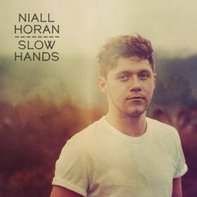 Niall Horan - Slow Hands (Single) (2017) [Mp3~320kbps]