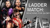 WWE Network Collection Ladder Match Reaching For Glory WEB h264-WD