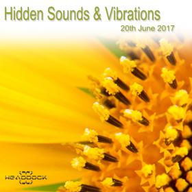 Headdock - Hidden Sounds & Vibrations 20-06-2017 [2CD]