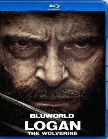 Logan-The Wolverine 2017 iTALiAN BRRip XviD BLUWORLD