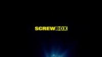 ScrewBox 17 06 16 Holly Hendrix And Lily Adams Samurai Bitches XXX 1080p MP4-KTR[N1C]
