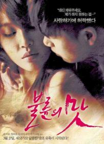 [18+] The Temptation Of Infidelity 2014 HDRip 720p Korean 500MB <span style=color:#39a8bb>- Biplab</span>