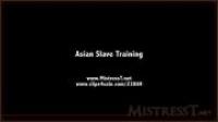 MistressT 17 03 08 Asian Slave Training XXX 720p MP4-WEIRD[N1C]