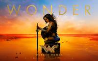 Wonder Woman 3D HOU BDRip Sonda