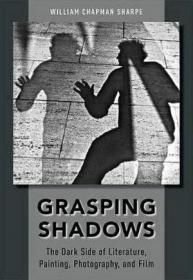 Grasping Shadows - The Dark Side of Literature, Painting, Photography, and Film