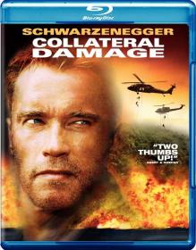 Collateral Damage (2002)[720p - BDRip - [Tamil + Hindi + Eng]
