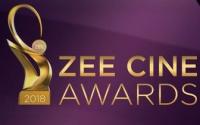 Zee Cine Awards (2018) 720p HDTVRip x264 AAC