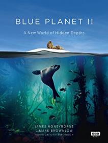 Blue Planet II S01E07 FiNAL Our Blue Planet PL 480p BRRip x264-666