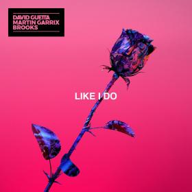 Like I Do - David Guetta & Martin Garrix & Brooks
