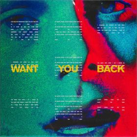 5 Seconds of Summer - Want You Back (Single) Mp3 Song