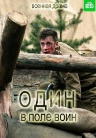 Один в поле воин (2018) WEB-DLRip (AVC) Files-x