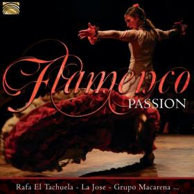 VA - Flamenco Passion (2018) MP3 320kbps Vanila