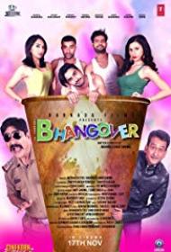 Journey of Bhangover 2017 Hindi 1080p DTH x264 [1.6GB]