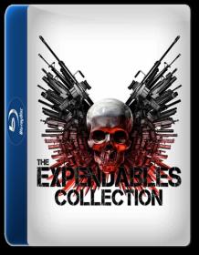 The Expendables 3 Film Collection (2010-2014)