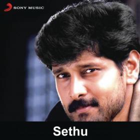 Sethu (1999) (Original Motion Picture Soundtrack) [Tamil - Complete Album - Digital FLAC - Ilaiyaraaja Musical]