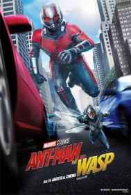 Ant-Man.And.The.Wasp.2018.iTA.ENG.AC3.1080p.BluRay.x264<span style=color:#39a8bb>-T4P3</span>