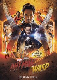 SkyMoviesHD org _-_ Ant Man and the Wasp 2018 FRENCH BDRip XviD<span style=color:#39a8bb>-EXTREME</span>