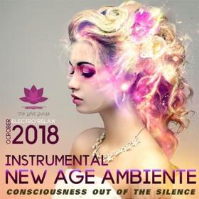 New Age Ambiente  Instrumental Collection
