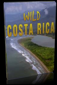 Дикая Коста-Рика 1080 (2000).ts