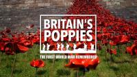 ITV Britains Poppies The First World War Remembered 720p HDTV x264 AAC