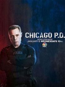 Chicago P D S06E07 VOSTFR HDTV XviD<span style=color:#39a8bb>-EXTREME</span>