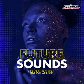 VA-Future_Sounds_EDM_2019-(PDM670)-WEB-2018-BF