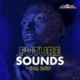 VA-Future_Sounds_EDM_2019-(PDM670)-WEB-2018-BF