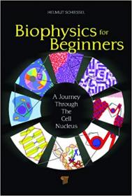 Biophysics for Beginners A Journey through the Cell Nucleus