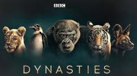 BBC Dynasties Series 1 5of5 Tiger 1080p HDTV x264 AAC