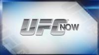 UFC Now Ep 540 The Best of 2018 720p WEB h264-SF63