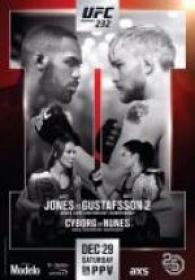 UFC 232 Jones vs  Gustafsson 2