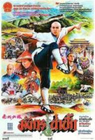 Wojownik z Shaolin - Nan bei Shao Lin 1986 [DVDRip XviD-Nitro][Lektor PL]