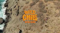 Wild Chile Series 1 3of3 Behind the Scenes 1080p HDTV x264 AAC