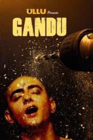 Gandu (2019) Hindi Ep (01-02) HDRip -  720p - x264 - AAC - 450MB