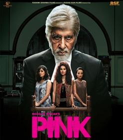 Pink [2016] Hindi DVDRip XviD 1GB ESubs