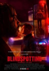 Blindspotting [BluRay Rip][AC3 5.1 Latino][2019]