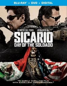 [边境杀手2 边境战士] Sicario Day of the Soldado 2018 BD 1080P x265 10bit AAC English 内封特效中英-FFans@ws林小凡