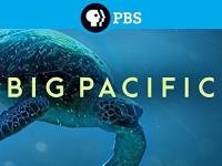 Big Pacific 2017 S01 2160p BluRay REMUX HEVC SDR DTS-HD MA 2 0<span style=color:#39a8bb>-FGT</span>
