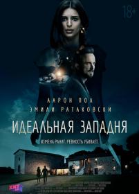 Идеальная западня (2018) BDRip-AVC_ivanes