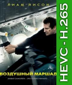 Воздушный маршал (2014) [Локализованная версия] BDRip 1080p [HEVC] 10 bit