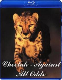 Cheetah - Against All Odds 2008 x264 HDTVRip-AVC от F-Torrents