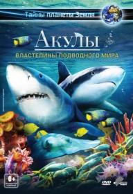 Акулы 2013 BDRip 720p