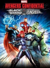 Avengers Confidential Black Widow & Punisher [2014] movie