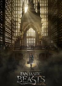 Fantastic Beasts and Where to Find Them (2016)[DVDScr - [Tamil (Clean Aud) + Eng] - x264 - 950MB]